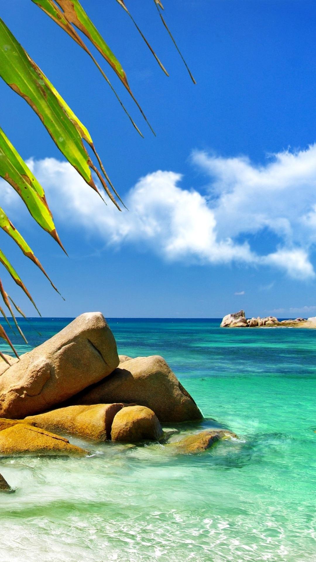 Aruba Luxury Calienteel Y Beach Islands iPhone Fondos De Pantalla