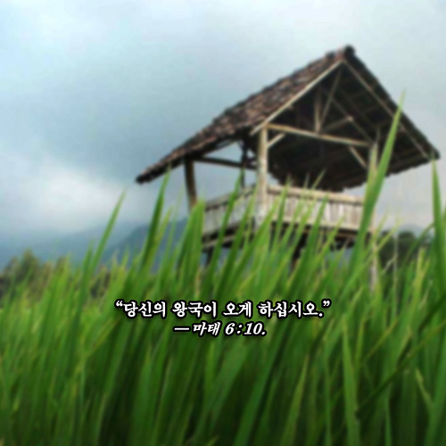 Yeartext For iPad iPadmini iPhone Ipod Android Wallpaper In Korean