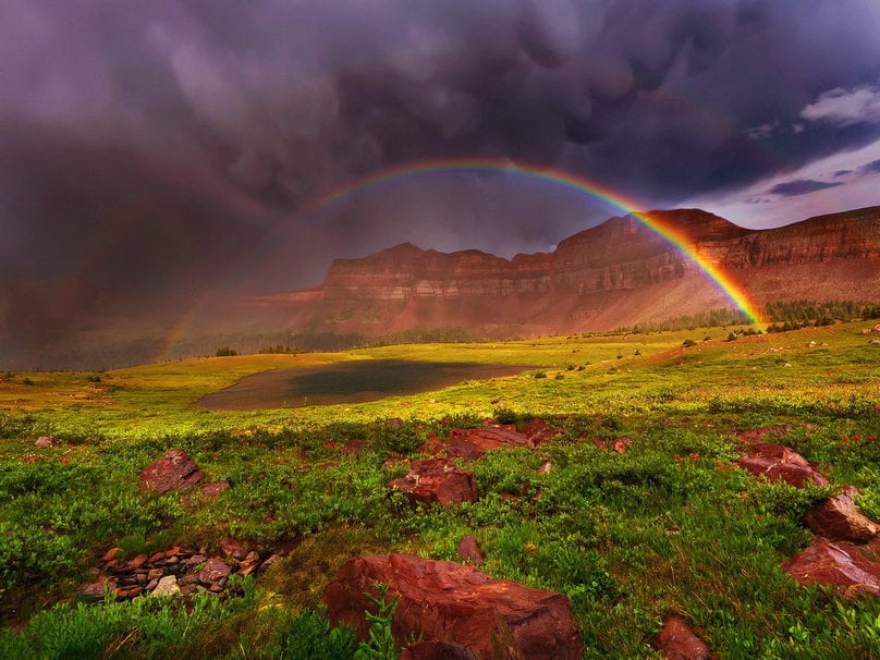 Rainbow over the mountain meadow wallpaper