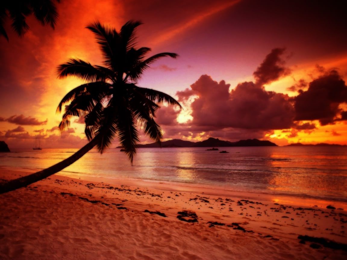 Tropical Paradise Sunset HD Wallpaper