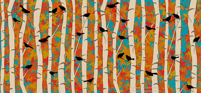 Removable Reusable Birds Birch Wallpaper Bold Maple contemporary
