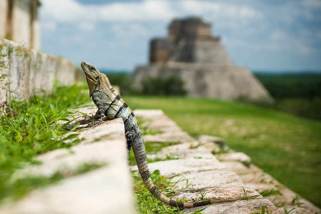 Uxmal Yucatan Ruinas Mexico Pictures