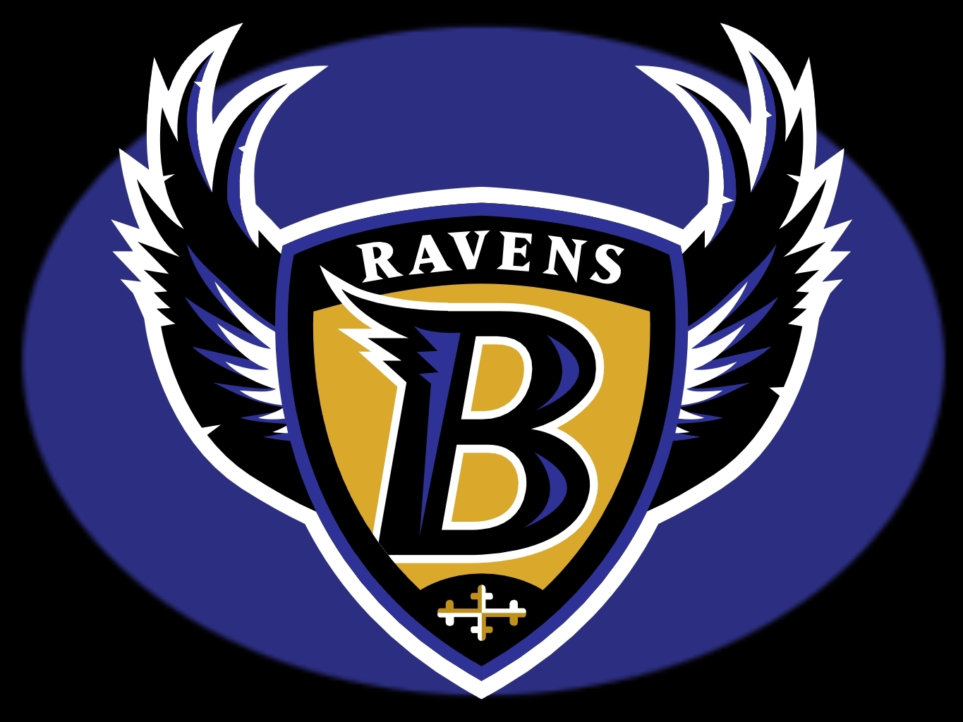 Baltimore Orioles And Ravens