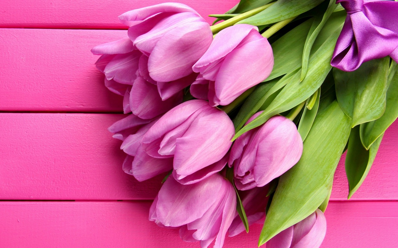 Wallpaper Spring Tulips