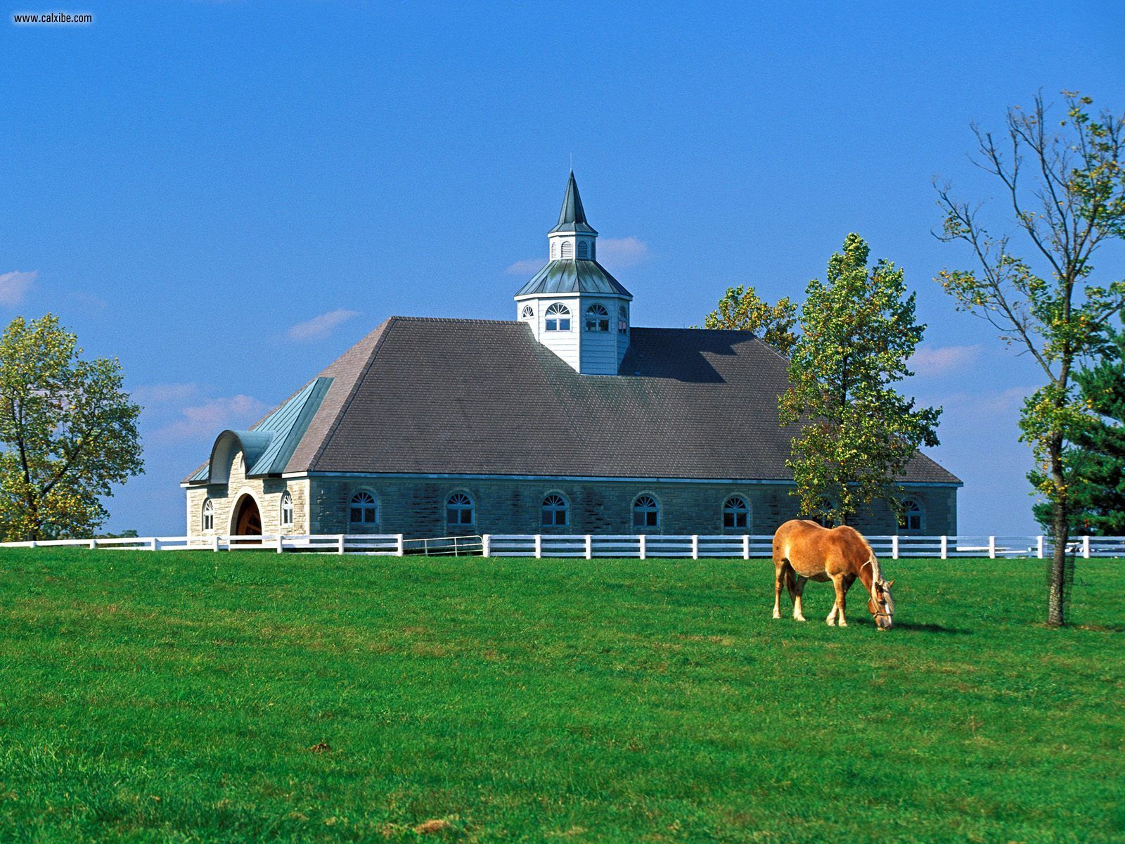 Donamire Horse Farm Lexington Kentucky Desktop Wallpaper Nr