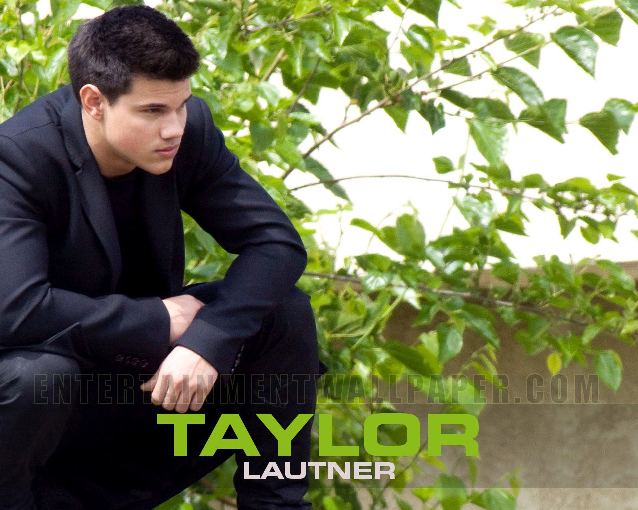HD Wallpaper Taylor Lautner X Kb Jpeg