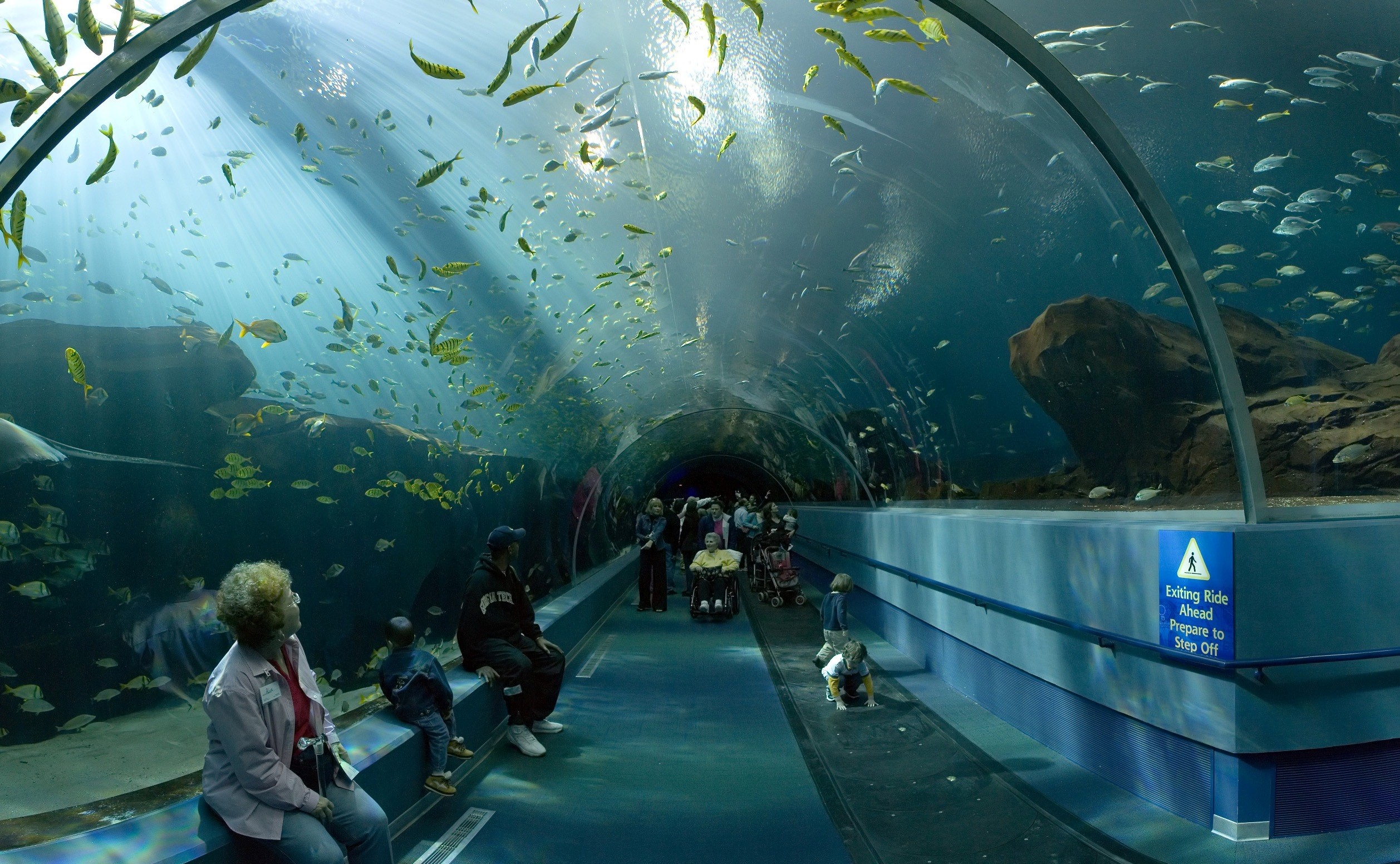 Awesome Georgia Aquarium Tourist Place in Atlanta Georgia United