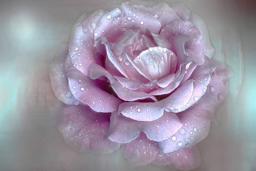 Wallpaper Pink Aesthetic Laptop