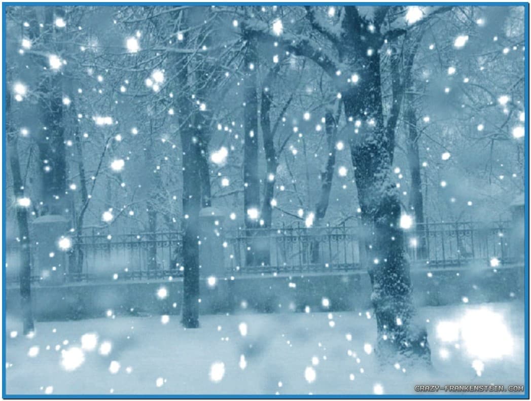 Image Winter Snow Falling Screensavers Pc Android