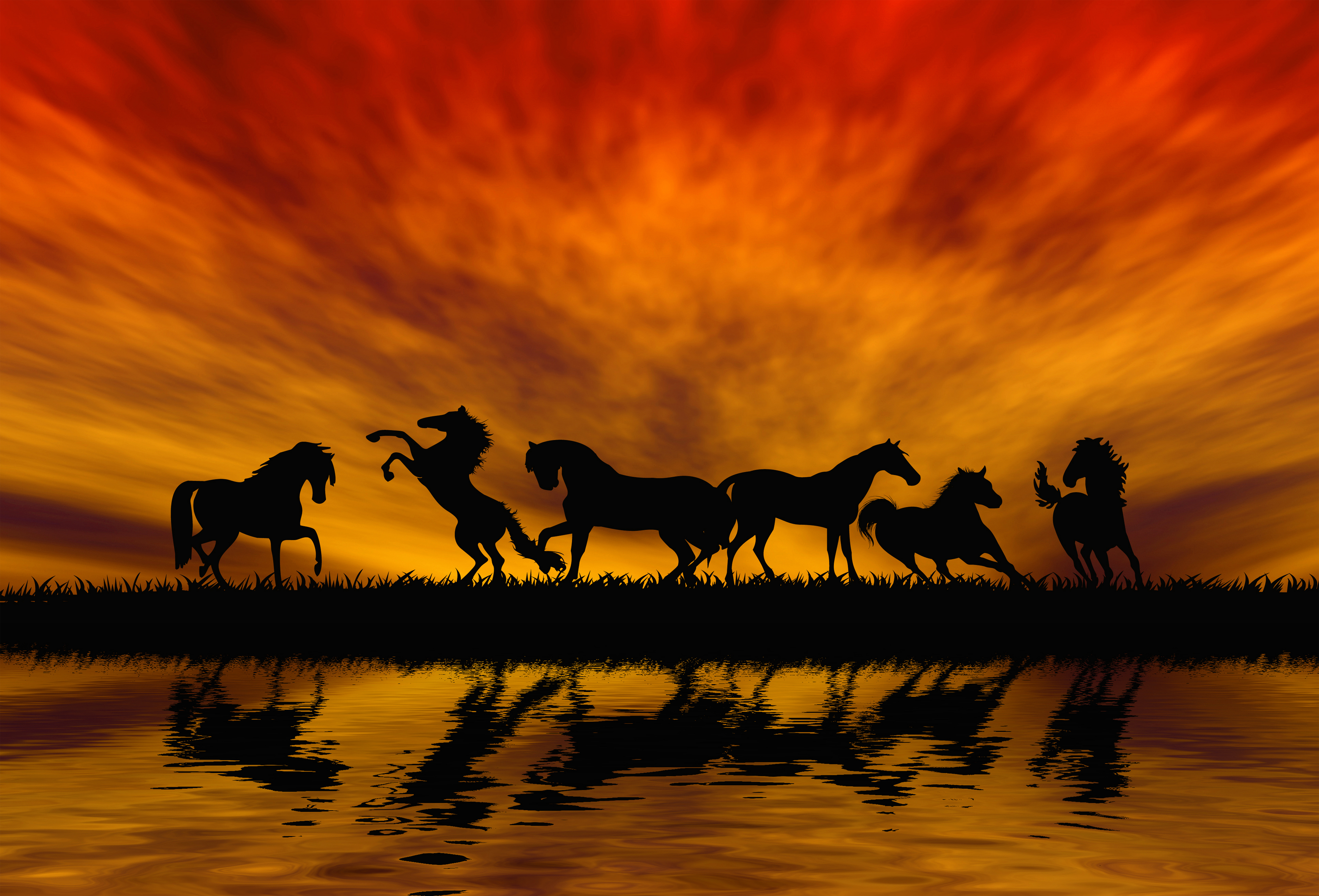 Horses Background Gallery Yopriceville High Quality Image