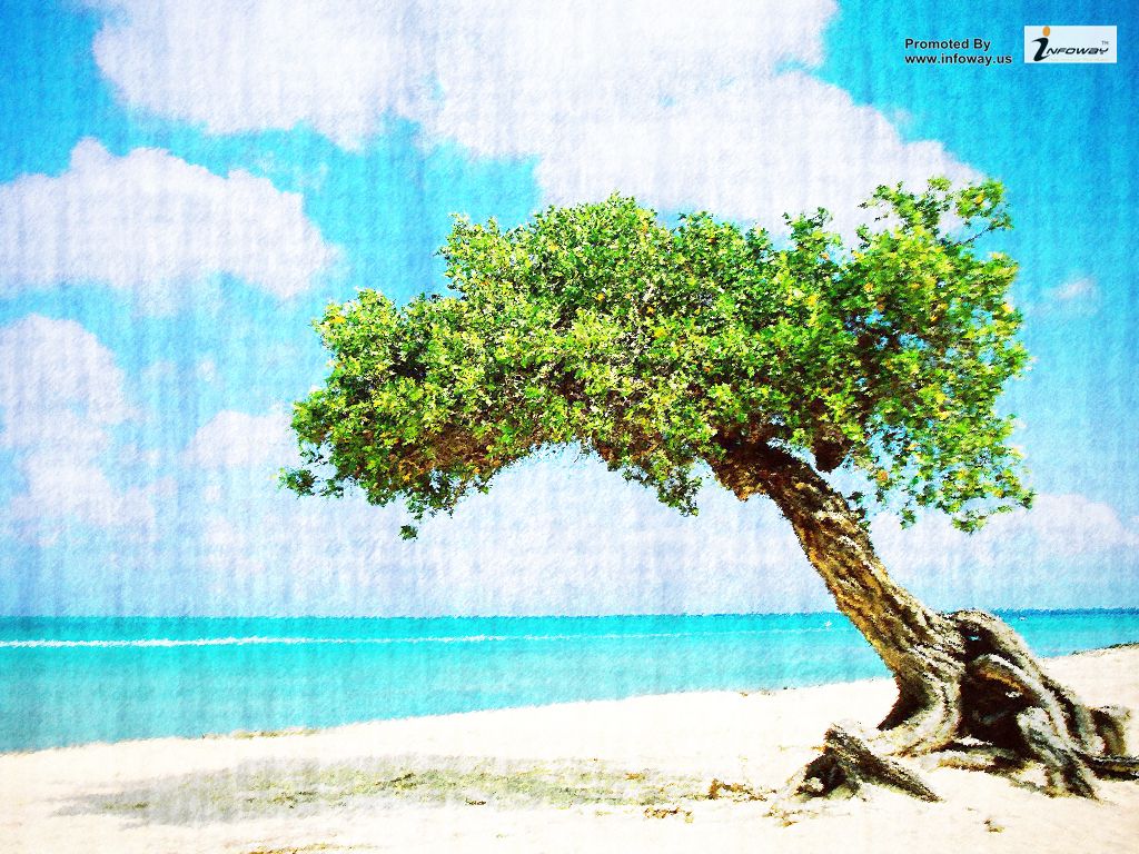 Aruba Beach Wallpaper HD