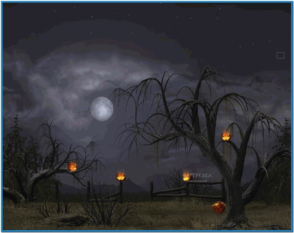 Halloween screensaver animation 1229x974