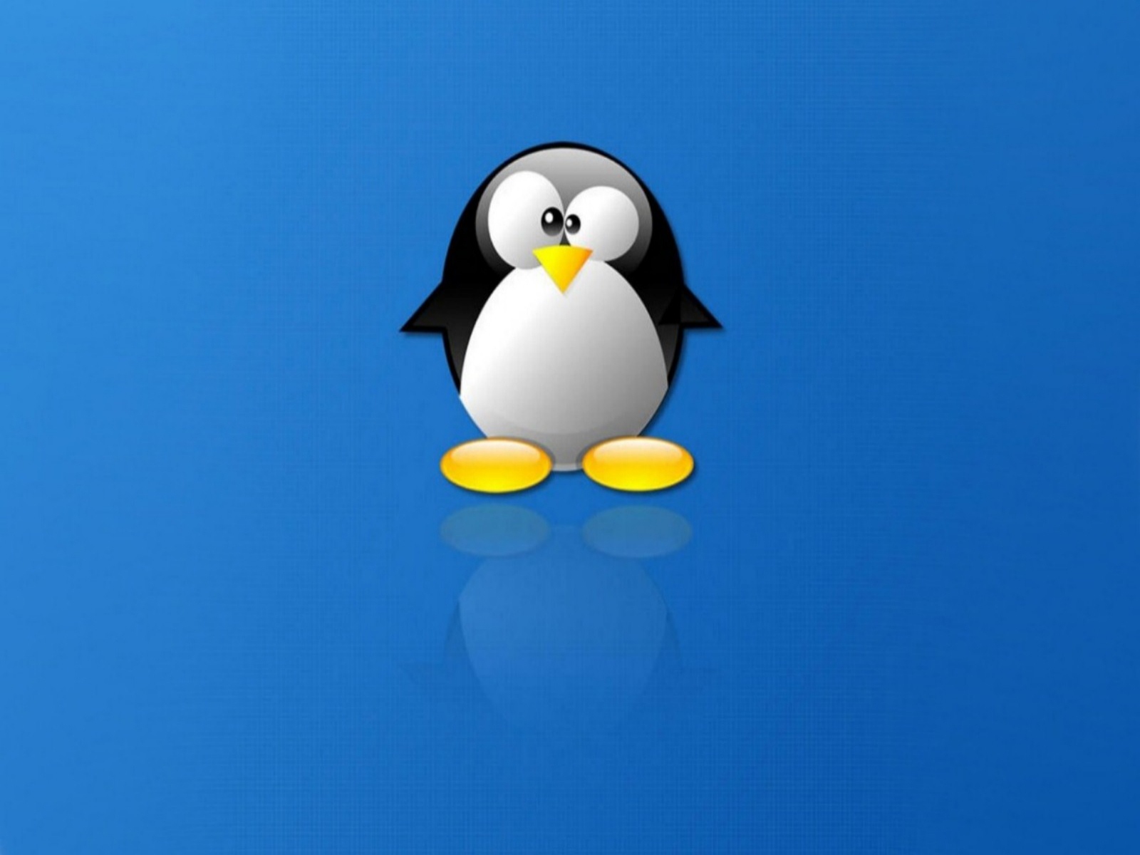 Linux Penguin Wallpapers Wide Tux Desktop IPhone And