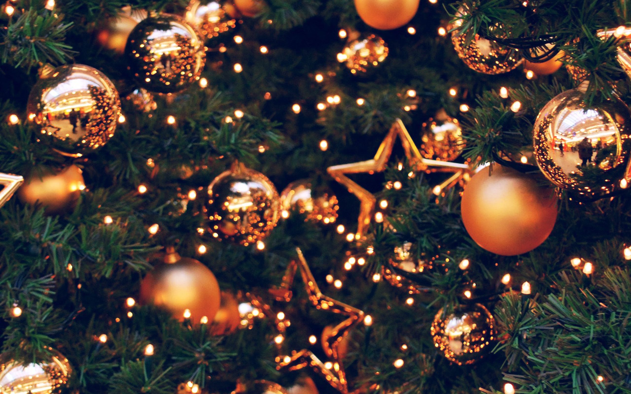 0a726f371747c8fb8c8df3311c873a03 Wallpaper