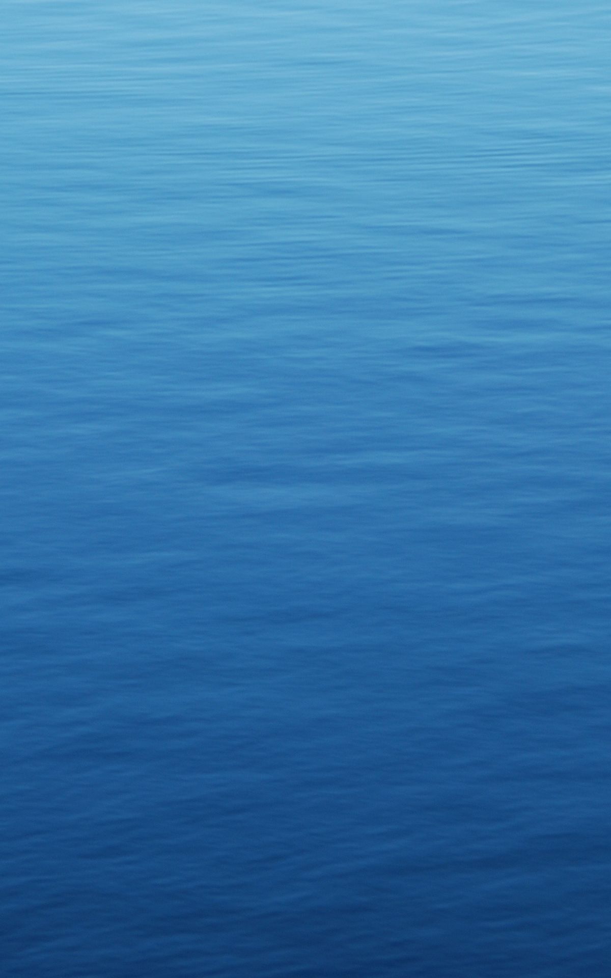 Wallpaper