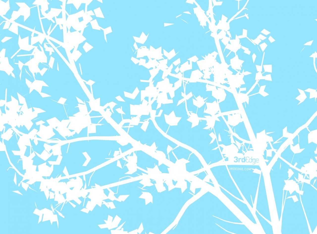 White Branch On Blue Desktop Pc And Mac Wallpaper