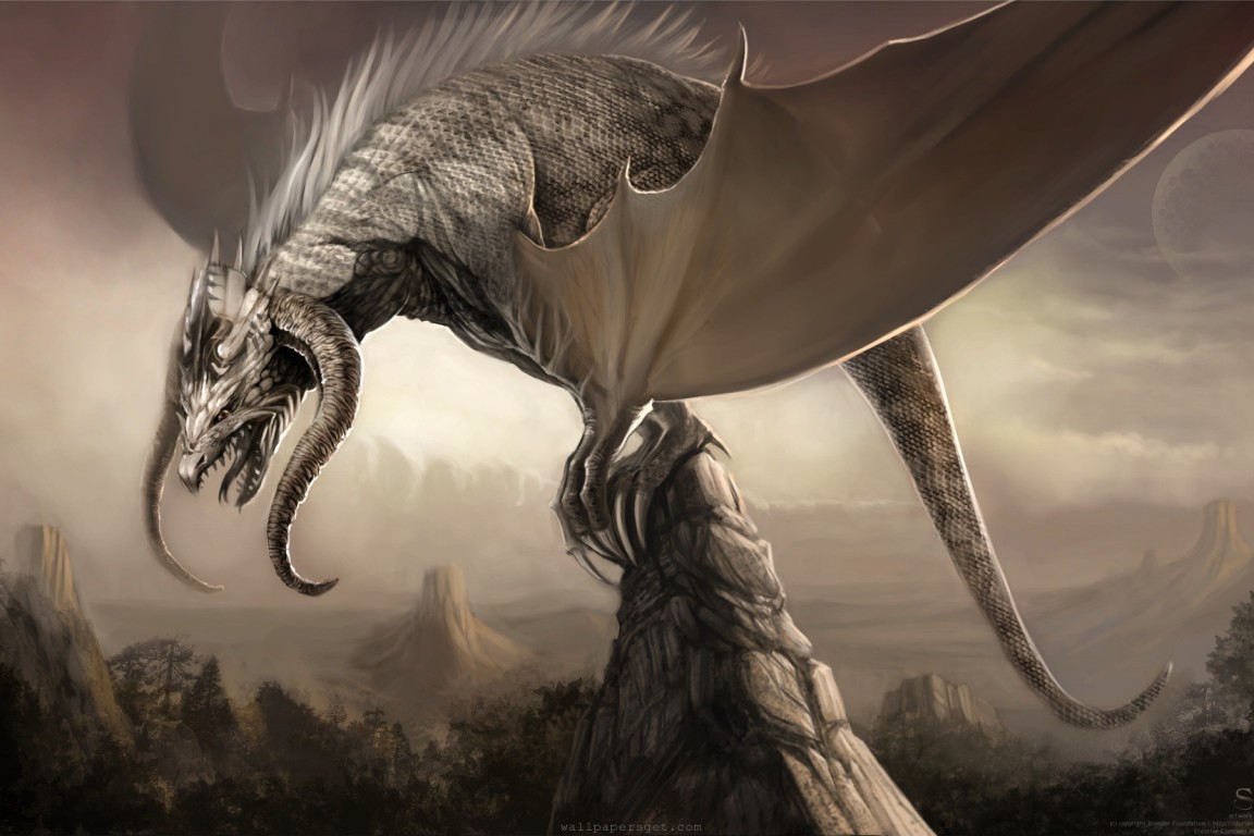 Epic Dragon Background HD Wallpaper Background