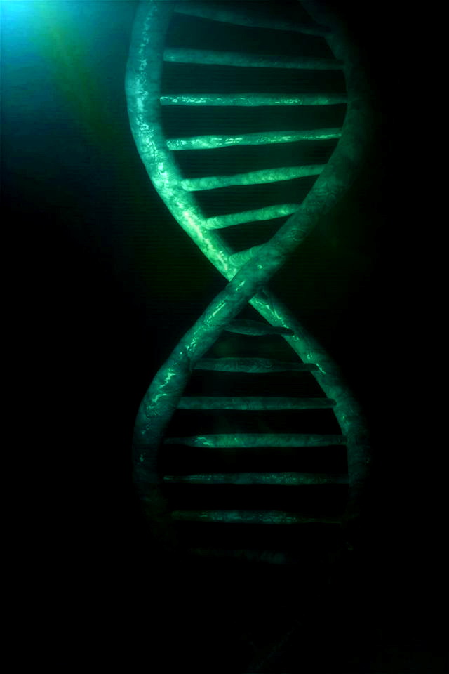 Free download free download dna models projects hd wallpaper Car Pictures  [640x960] for your Desktop, Mobile & Tablet | Explore 46+ DNA Double Helix  Wallpaper | Dna Wallpaper, DNA HD Wallpapers, 3D DNA Wallpaper