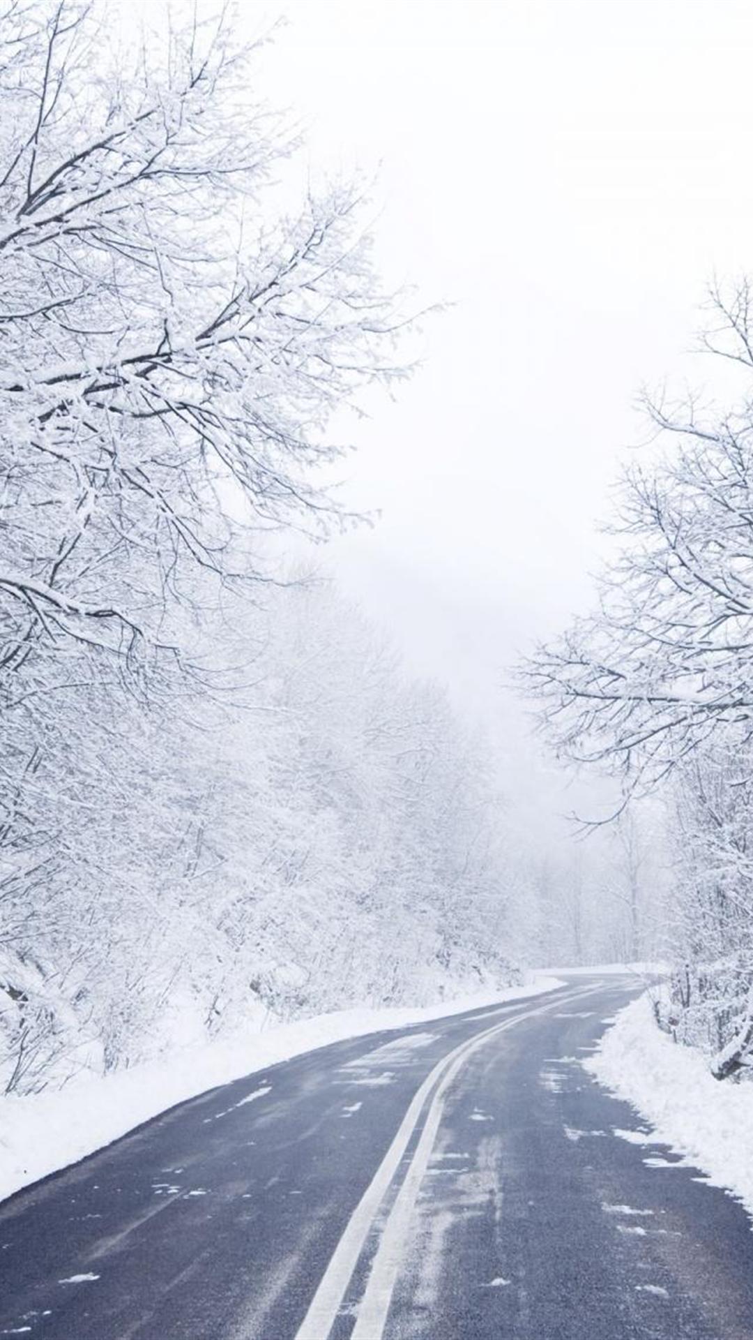 plus hd cold winter road iphone 6 plus wallpapers