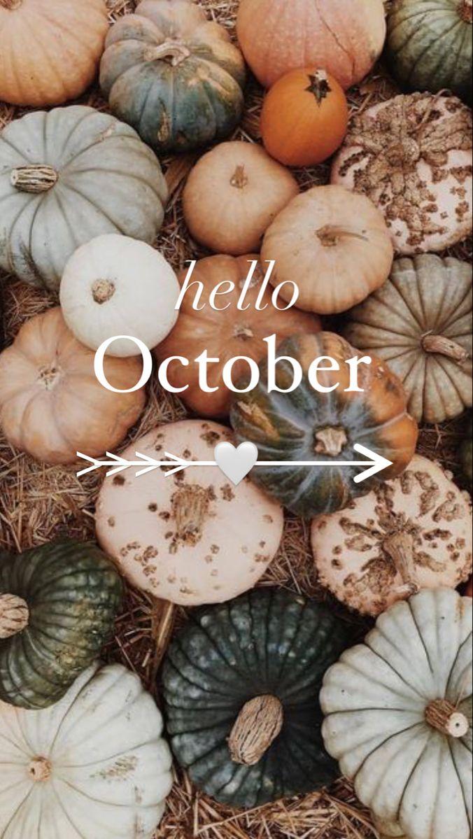 Hello October October wallpaper Hello october Iphone wallpaper