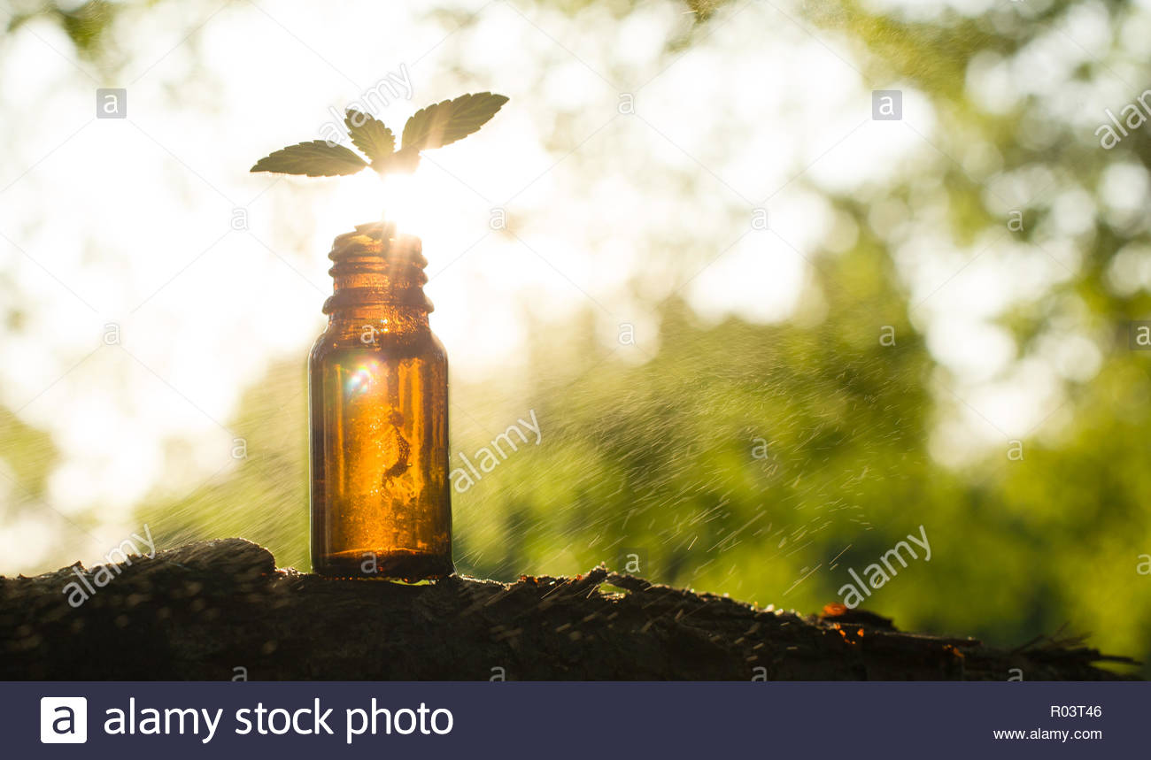 Essential Oil And A Glass Bottle On Blur Herbs Background