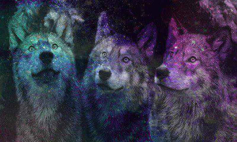 Wolf galaxy wallpaper   Android Apps on Google Play