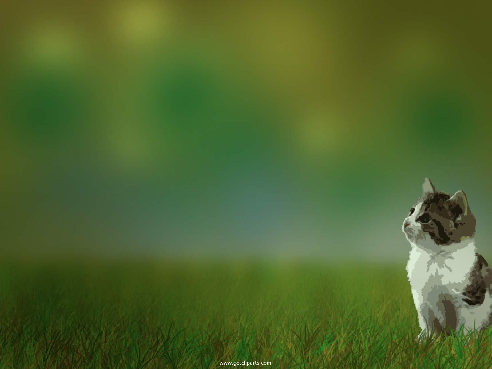 Funny Cat Wallpaper Animals Background