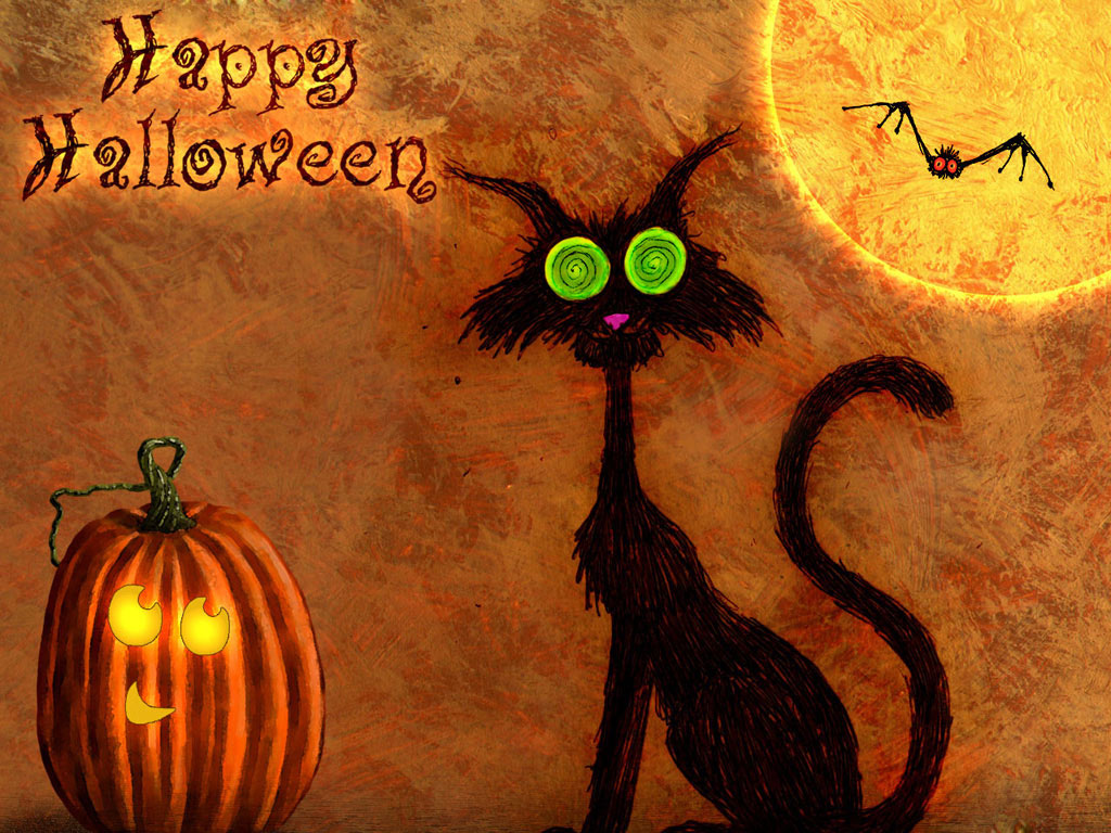 Funny Halloween Cat HD Photo Image Wallpaper Festival Chaska