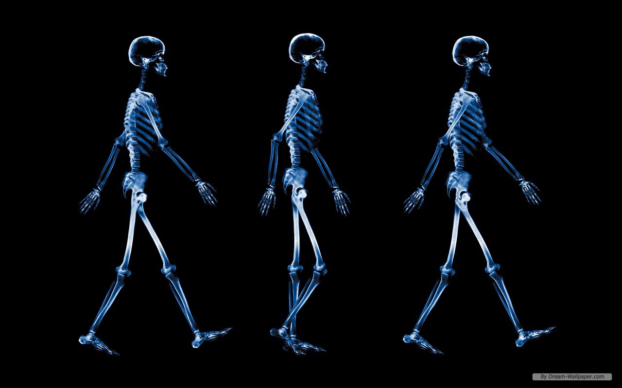 Pics Photos Title X Ray Wallpaper Skeleton Bathing