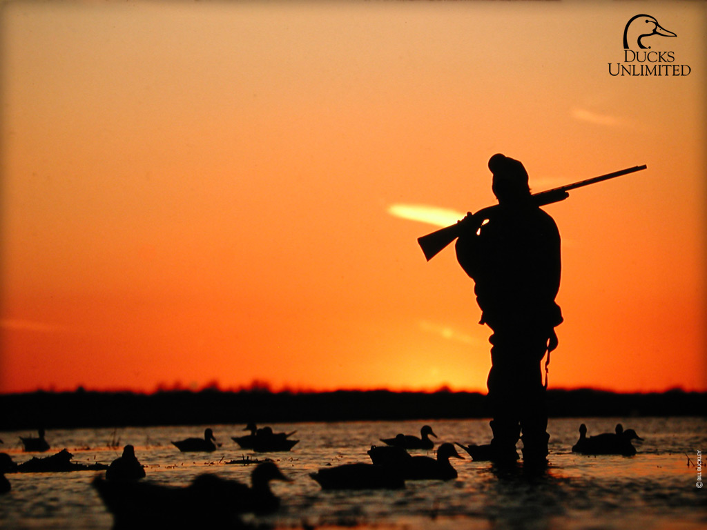 duck hunting background