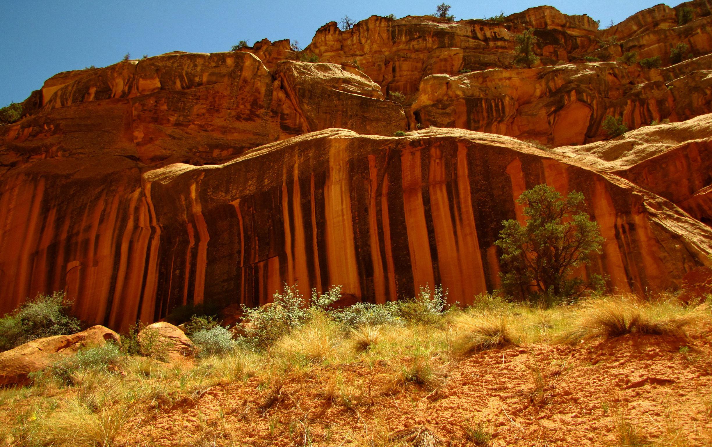 Utah National Parks Capitol Reef Hd Wallpaper Background Image