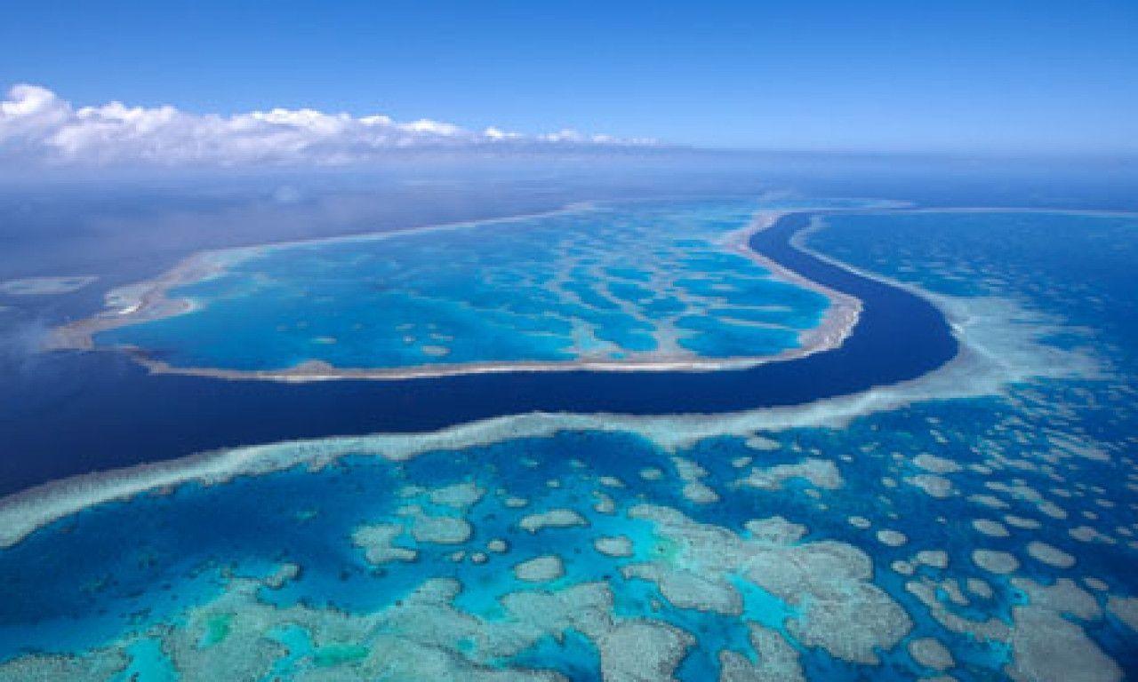 Great Barrier Reef Wallpaper