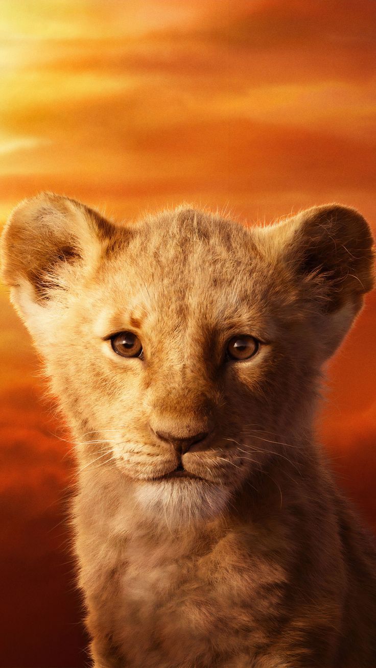 The Lion King Re A Dramatic Remake Disney Animation