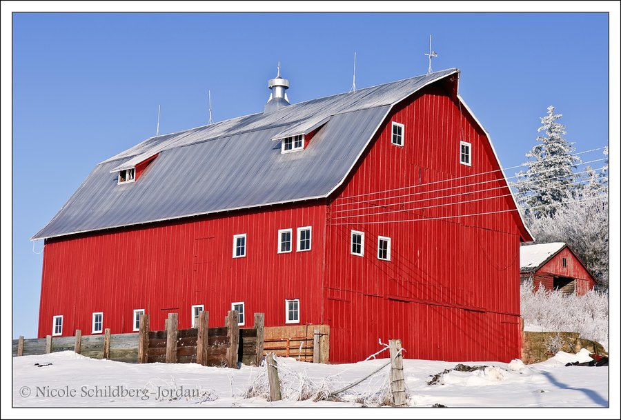 Red Barn In Winter By Bacardi870