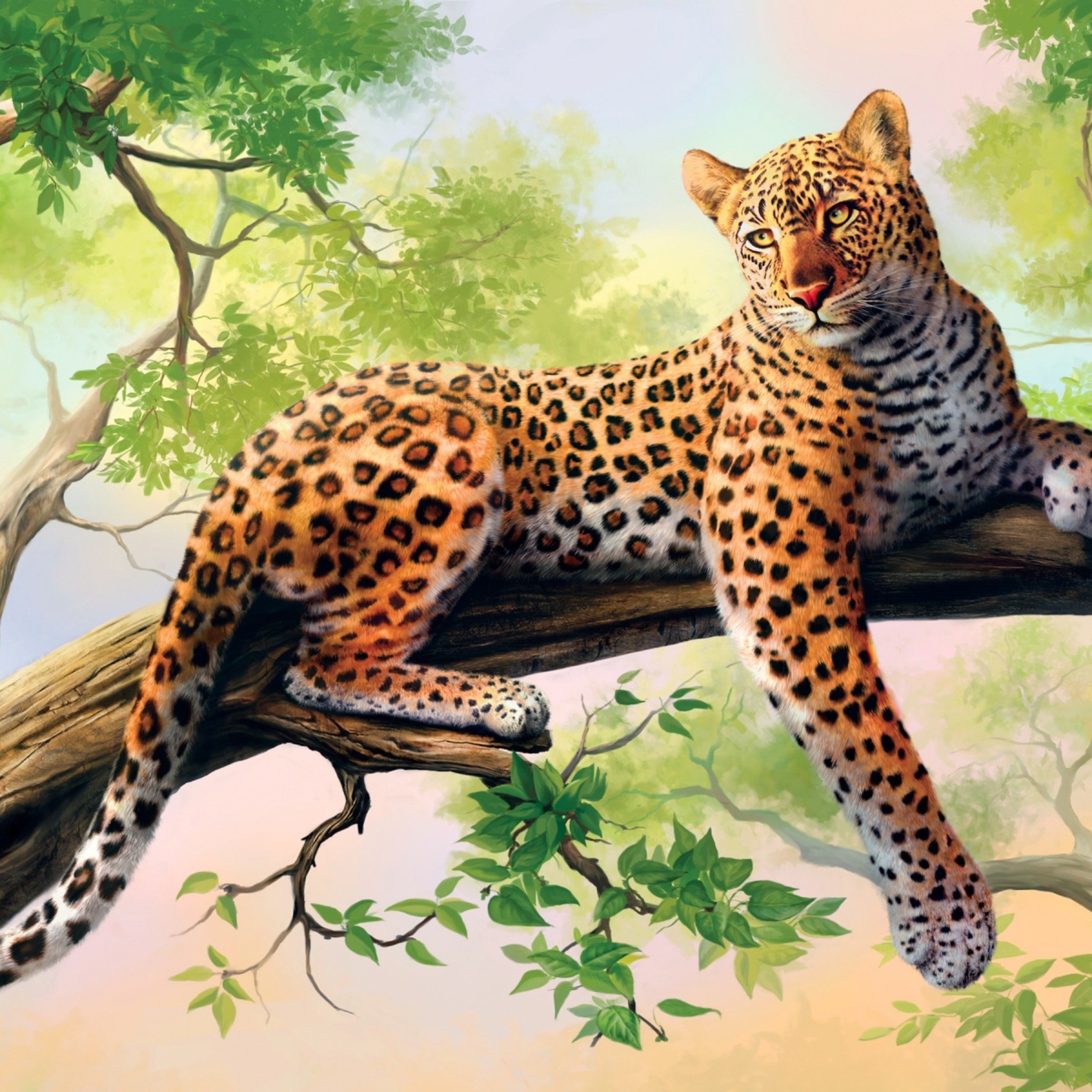Leopard looks jungle from a tree 2524x2524