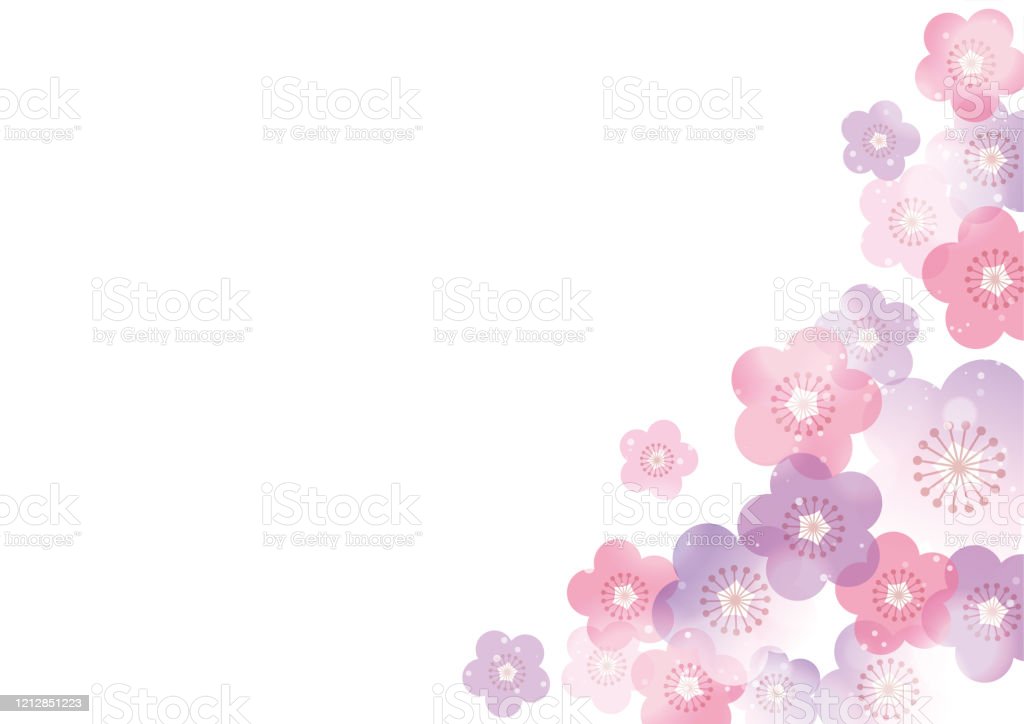 Plum Blossom Background Japanese Traditional Pattern Stock