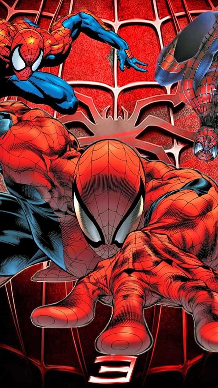 All Three Spider Man Wallpaper Phone
