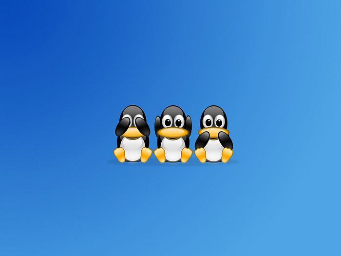Linux Penguin Desktop