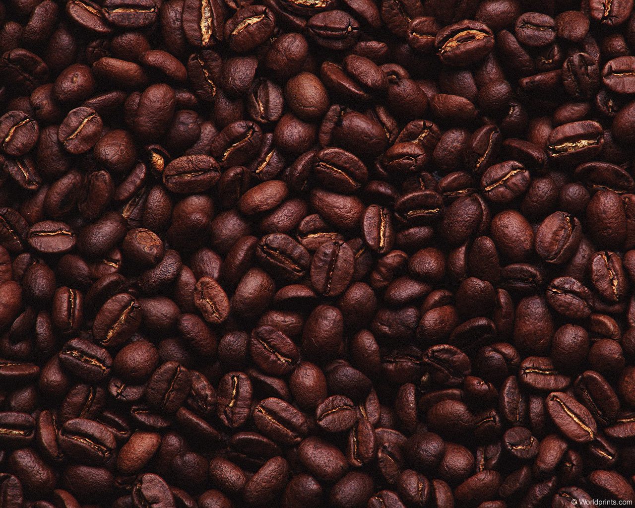 Wallpaper Description Coffee Beans Detail Photography Coffee Beans