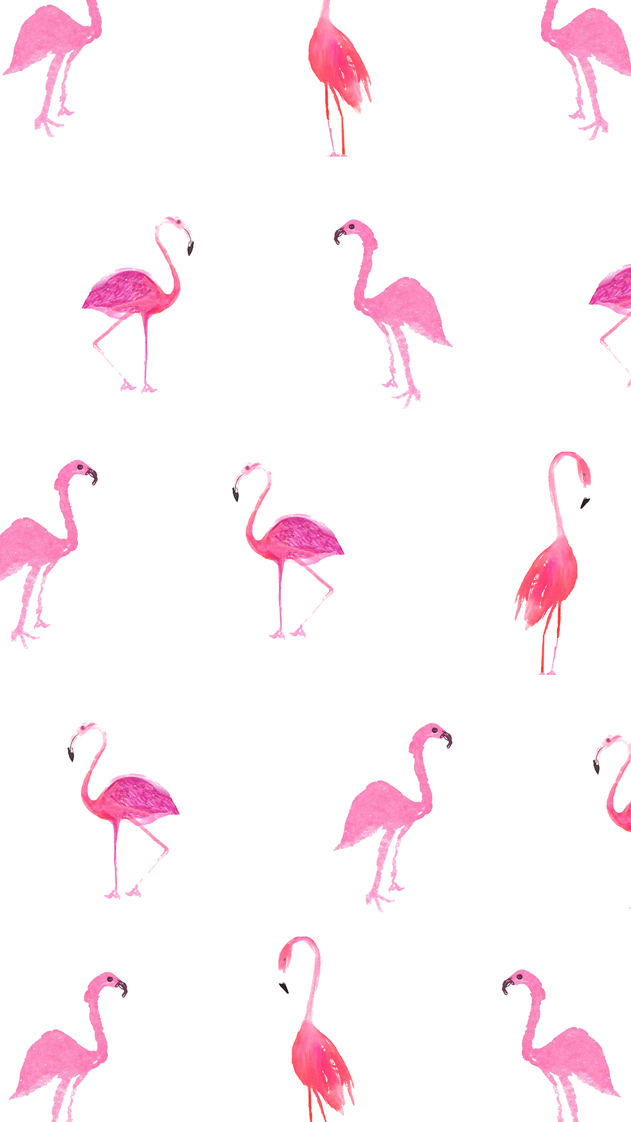 Similiar Flamingo Print Wallpaper Keywords