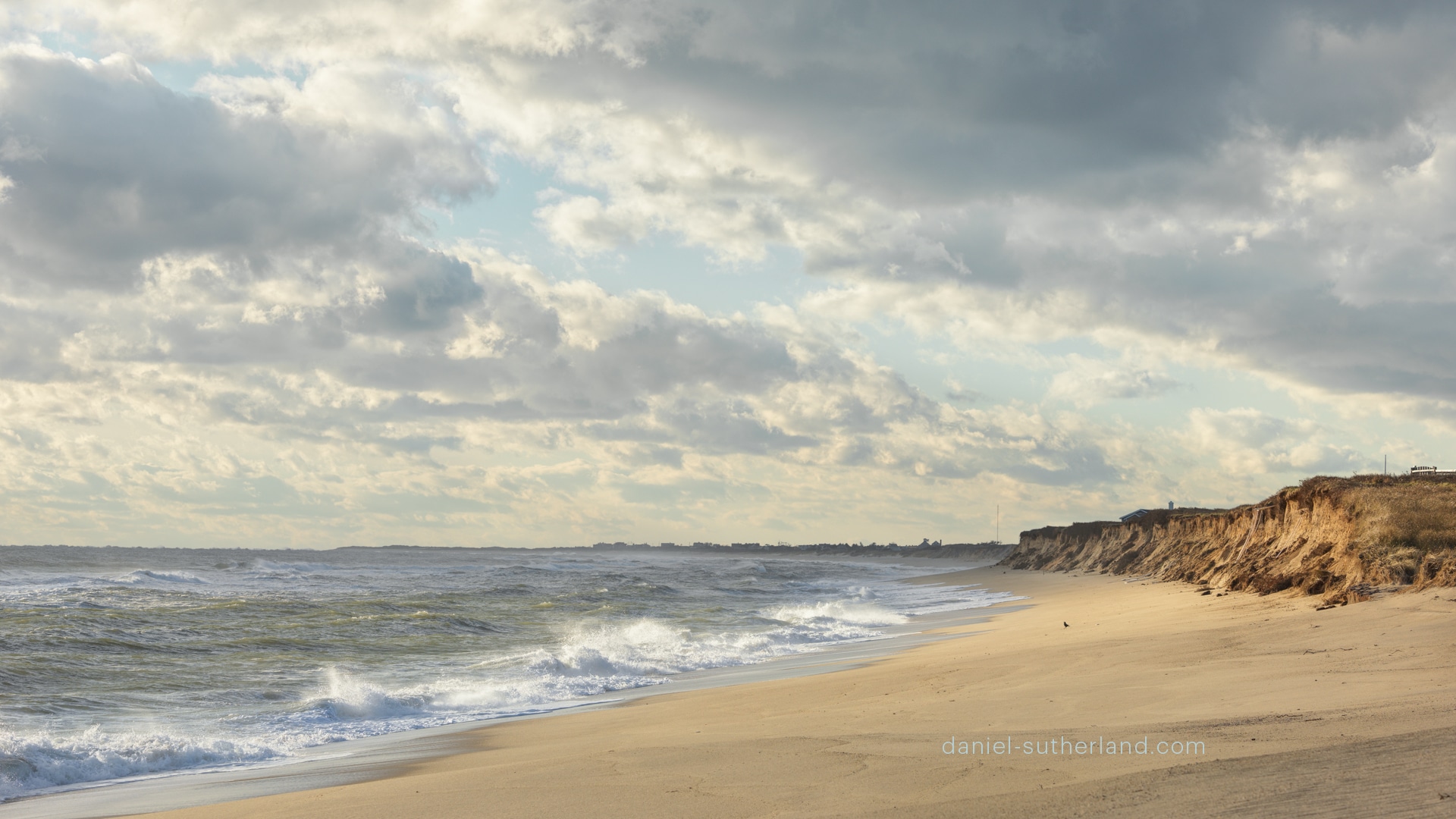 A Nantucket Backdrop For Zoom Conservation Foundation