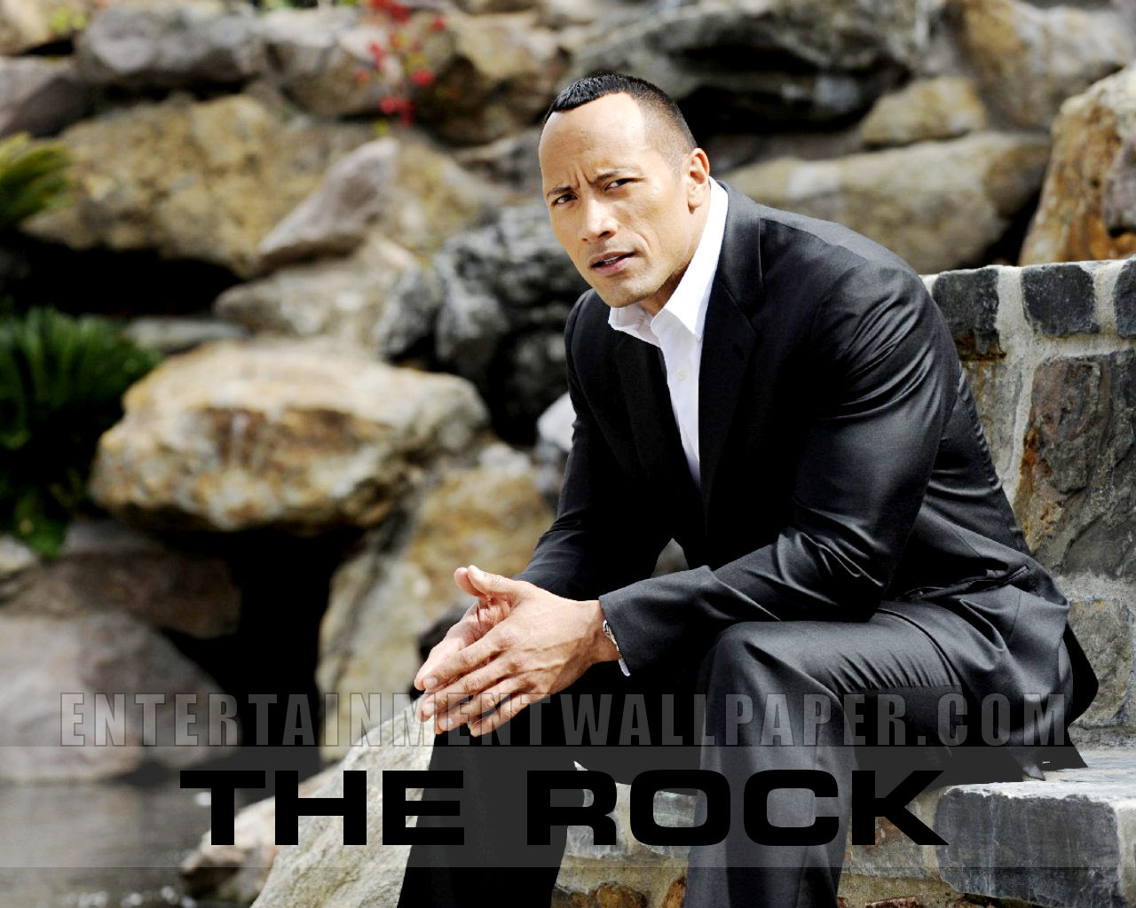 The Rock Wallpaper Size More
