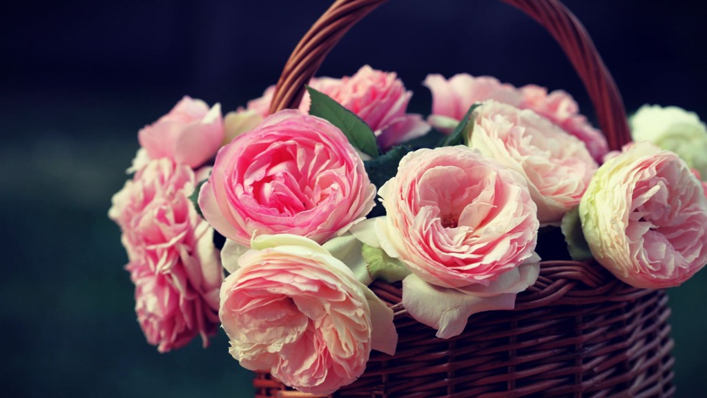 Rose HD Wallpaper 1080p Assalamualaikum Image With Flowers