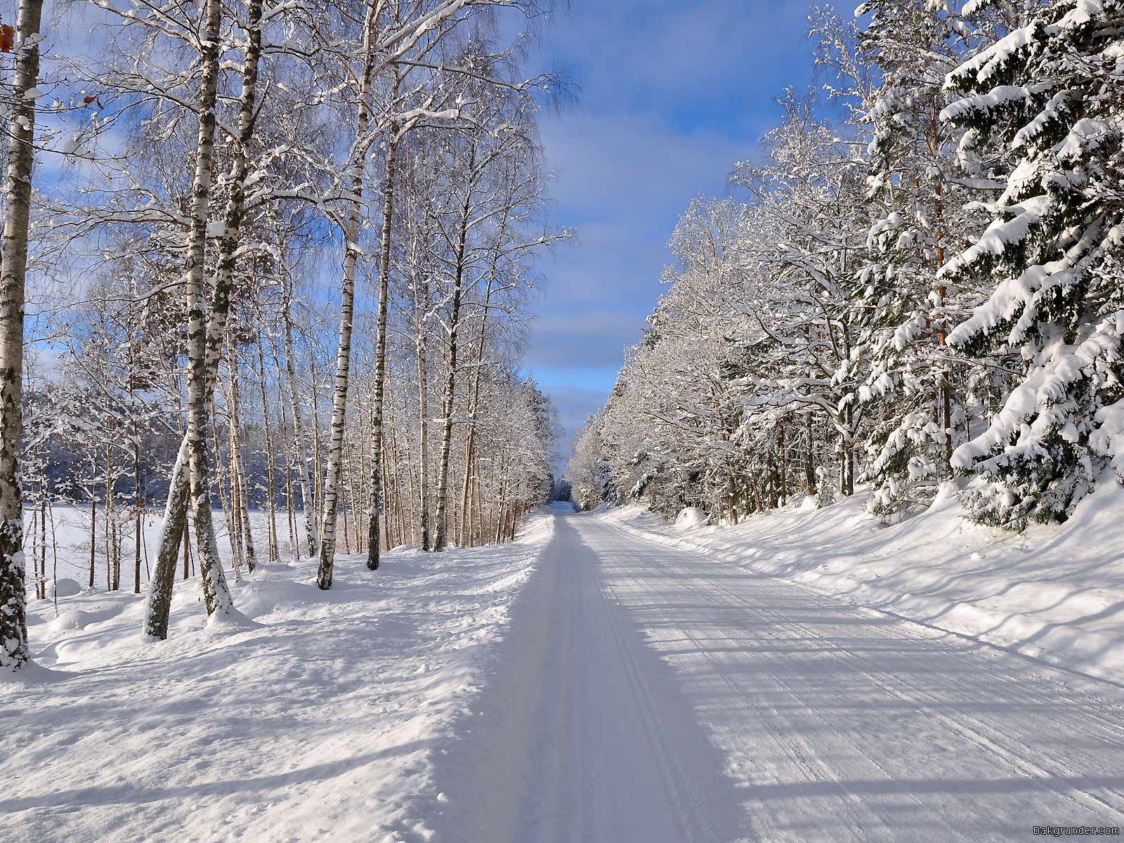 Country Road In Winter Amazing Nature Wallpaper