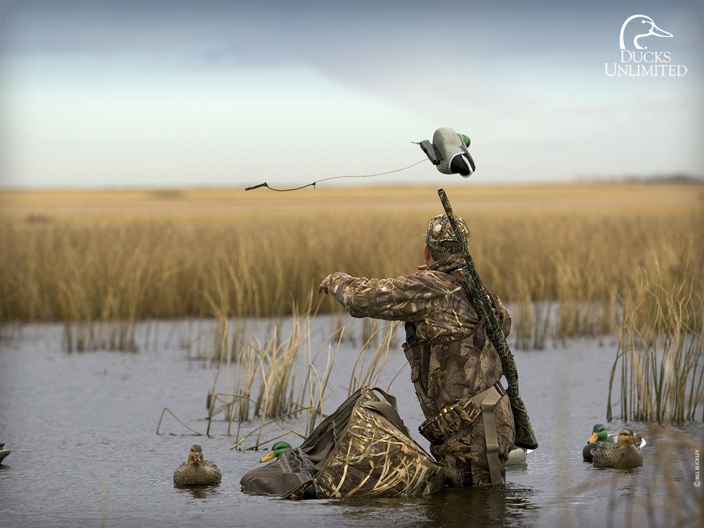 How Ducks Unlimited Helps Us As Hunters And Landowners