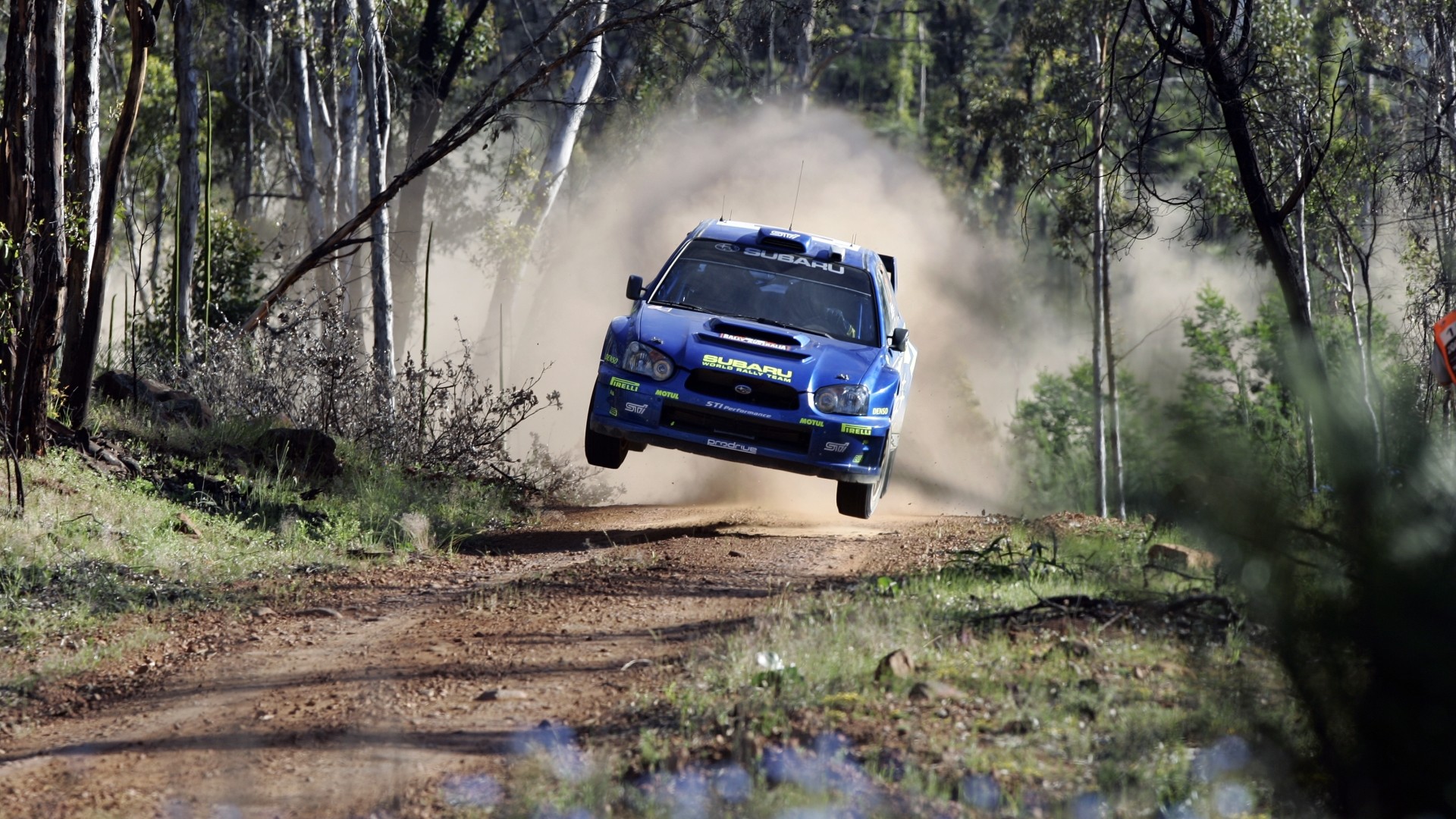Rally Wallpaper