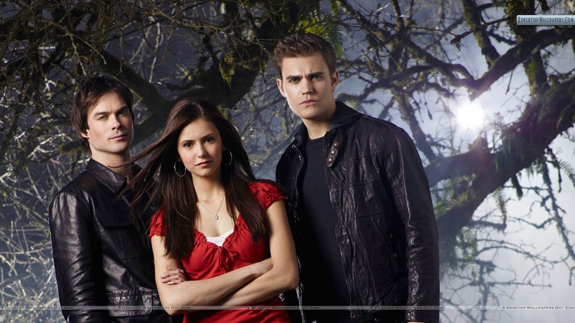The Vampire Diaries Wallpaper