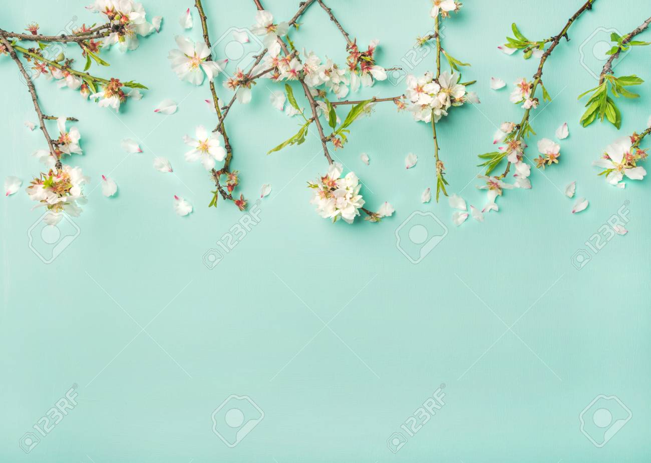 Spring Floral Background Texture And Wallpaper Flat Lay Of