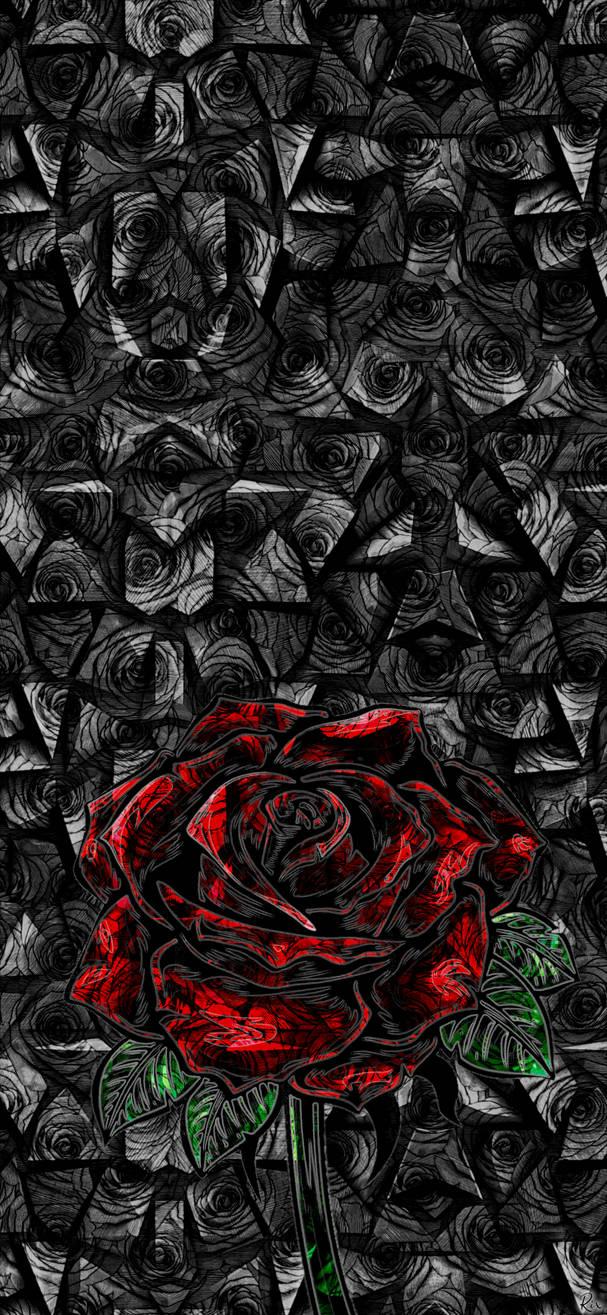 iphone Pro Max Wallpaper Roses and Spikes by rix wn
