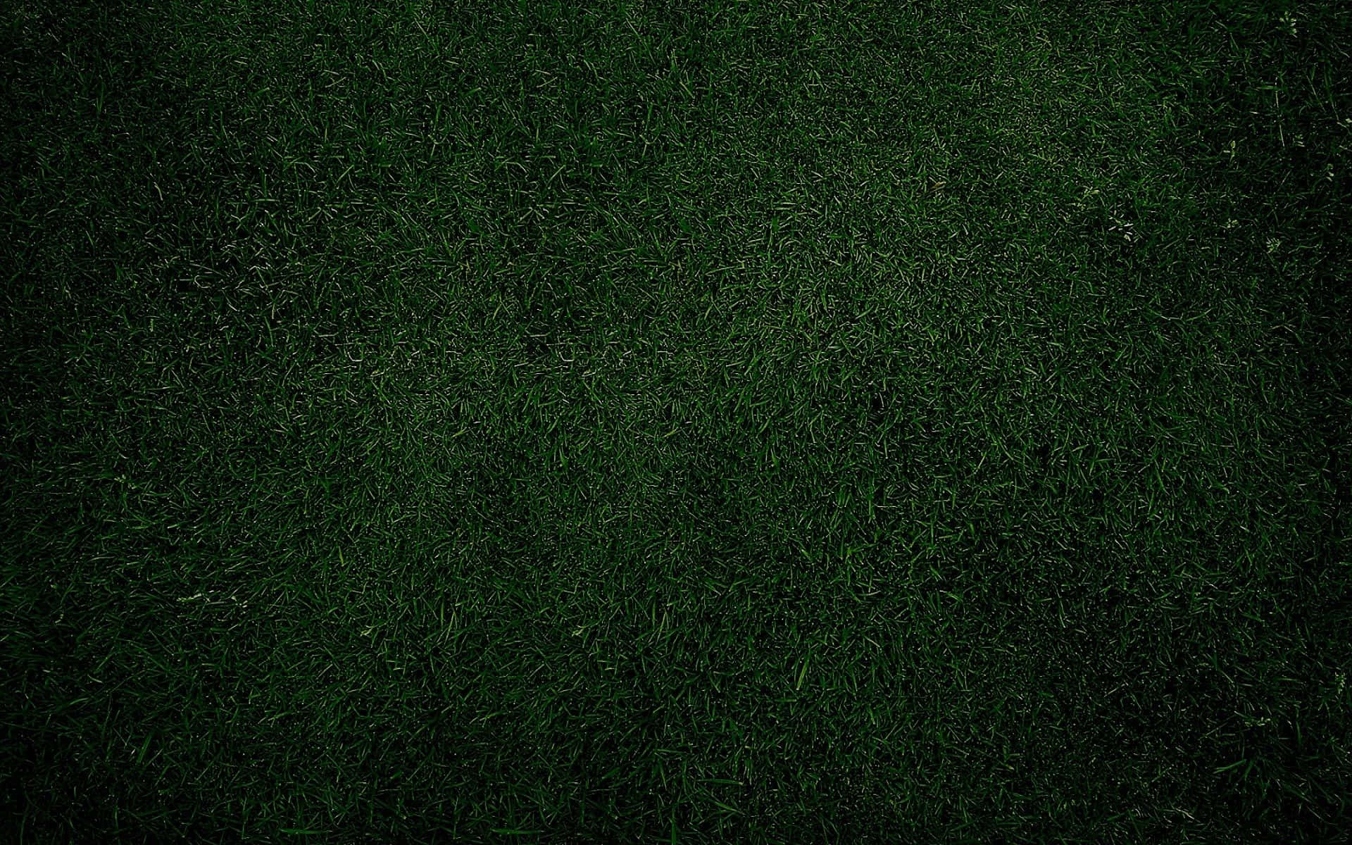 Plain Aesthetic Background Wallpaper